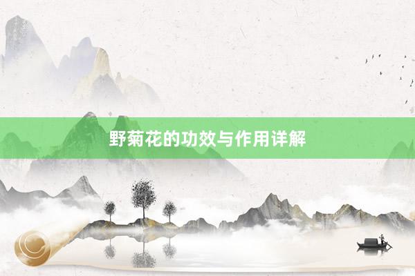野菊花的功效与作用详解