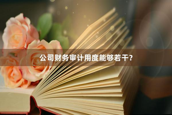 公司财务审计用度能够若干？
