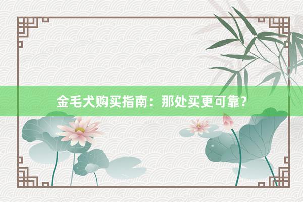 金毛犬购买指南：那处买更可靠？