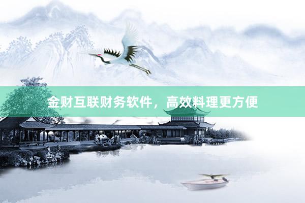 金财互联财务软件，高效料理更方便